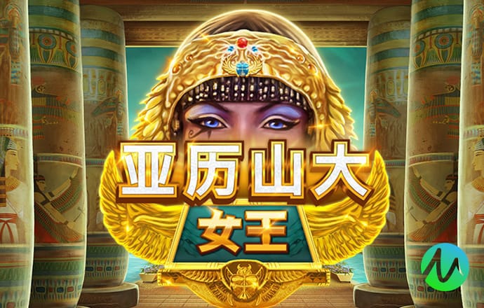 hthvip网页登录