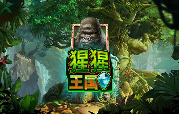 ror体育官网app下载
